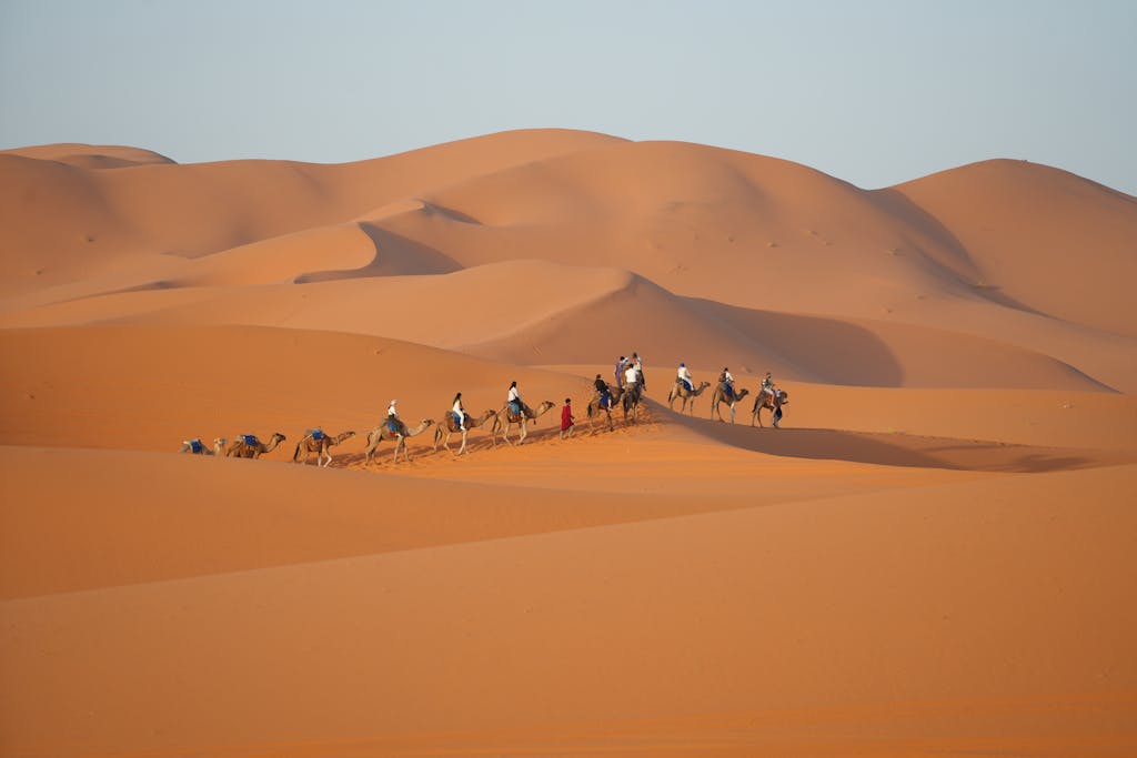 A camel caravan traverses the rolling dunes of Merzouga, Morocco at sunset.