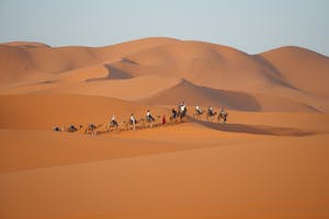 A camel caravan traverses the rolling dunes of Merzouga, Morocco at sunset.