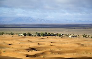 desert, oasis, morocco, merzouga, nature, vacation, zagora, oasis, oasis, oasis, oasis, merzouga, merzouga, merzouga, merzouga, merzouga, zagora, zagora, zagora