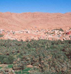 a village in the desert surrounded by palm trees