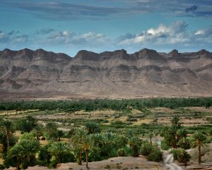 Lush oasis amidst arid mountains in Zagora, Morocco, capturing the stunning landscape.